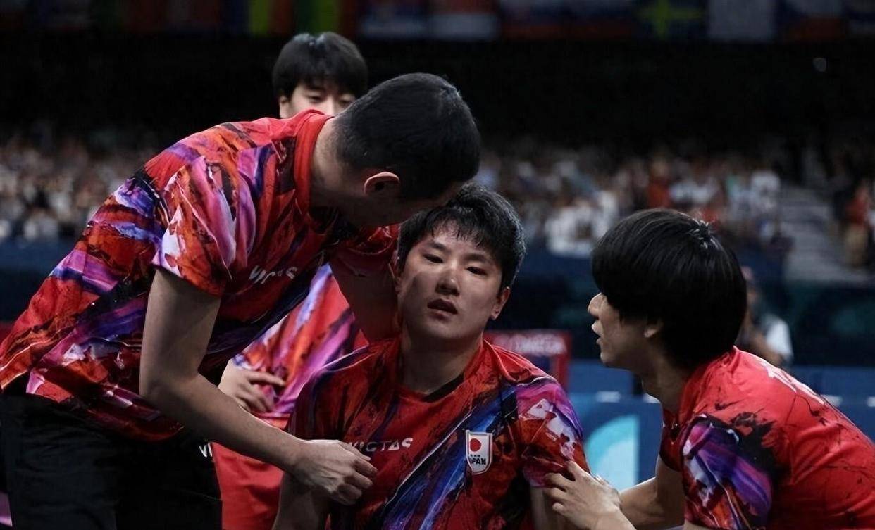 关于比利时乒乓球队强势中国乒乓球队,张本智和送出助攻的信息 关于比利时乒乓球队强势中国乒乓球队,张本智和送出助攻的信息