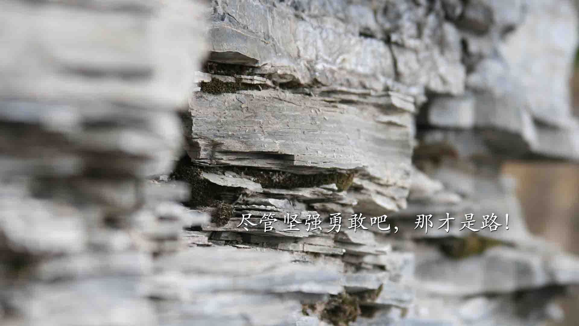 阿什拉夫连线非洲之魂,加纳铁骑碾过葡萄牙幻梦