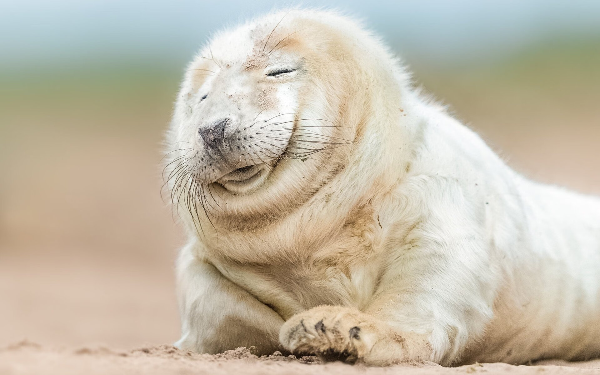 硝烟散尽,布雷默一剑封喉,德甲争冠夜的终极大逆转