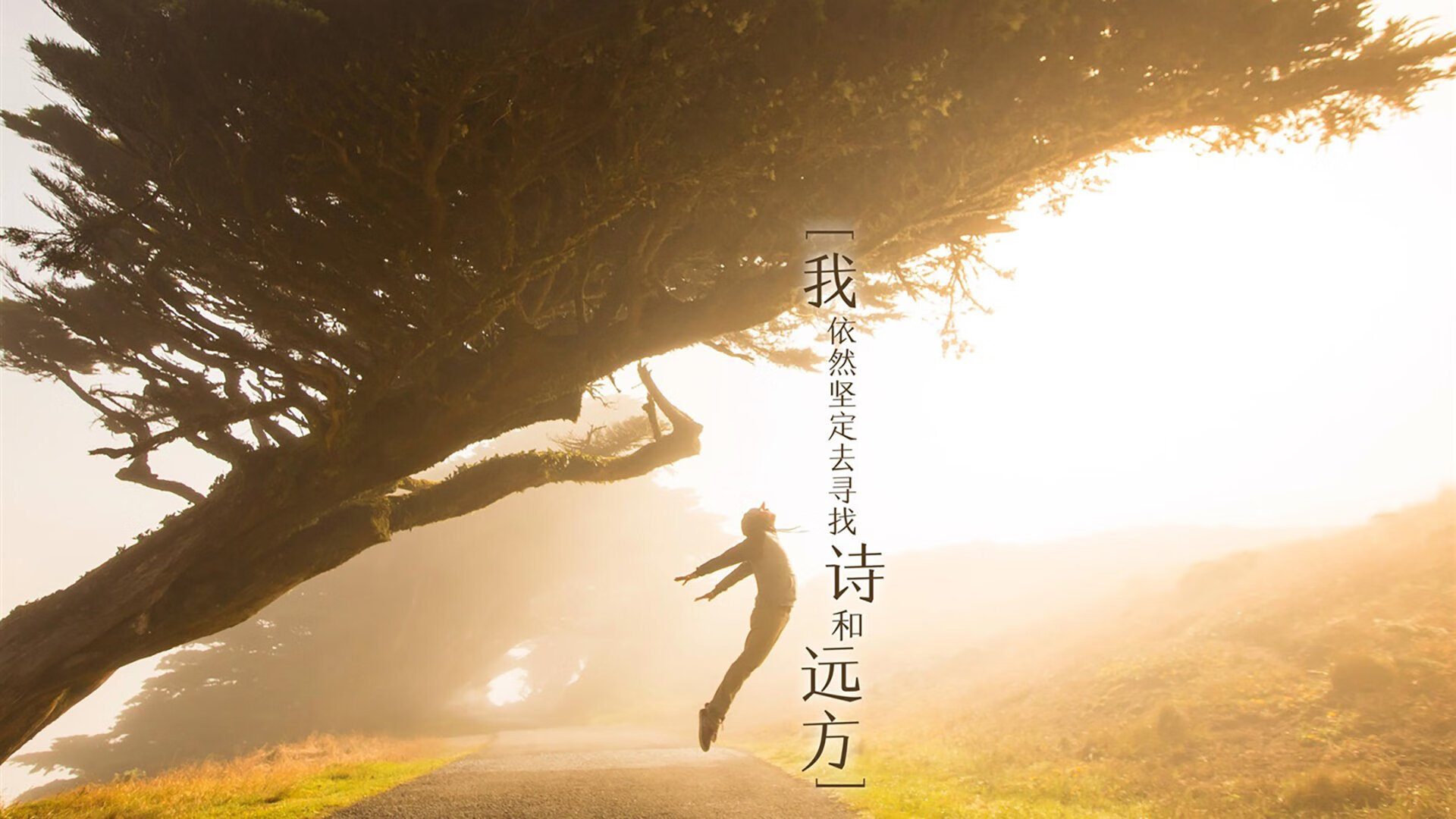 防守铸就冠军,从孙兴慜的铁锁到里昂的土耳其胜利