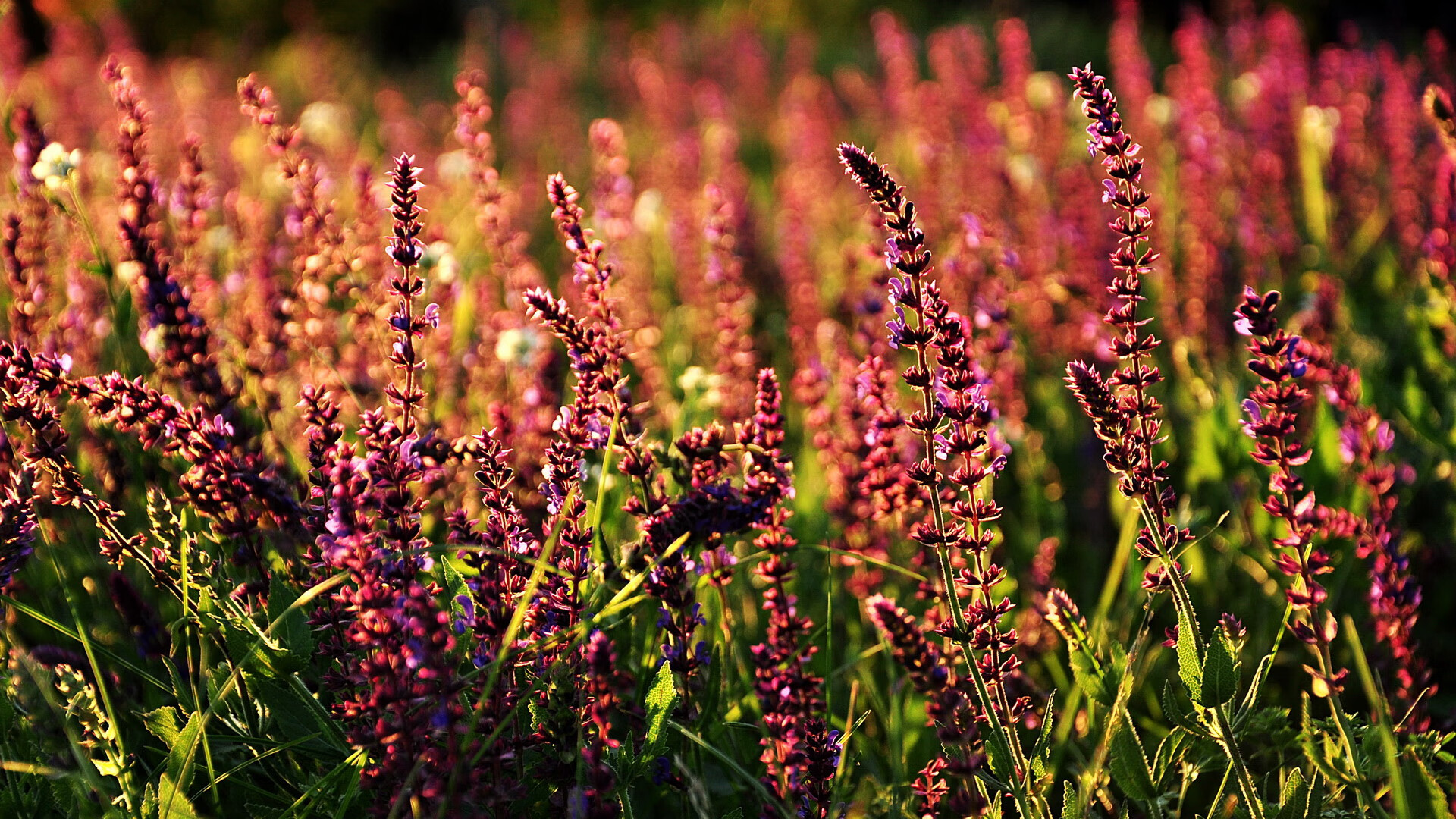 芬兰铁幕下的终局之王，卡塞米罗如何在战术绞杀中接管欧冠决赛