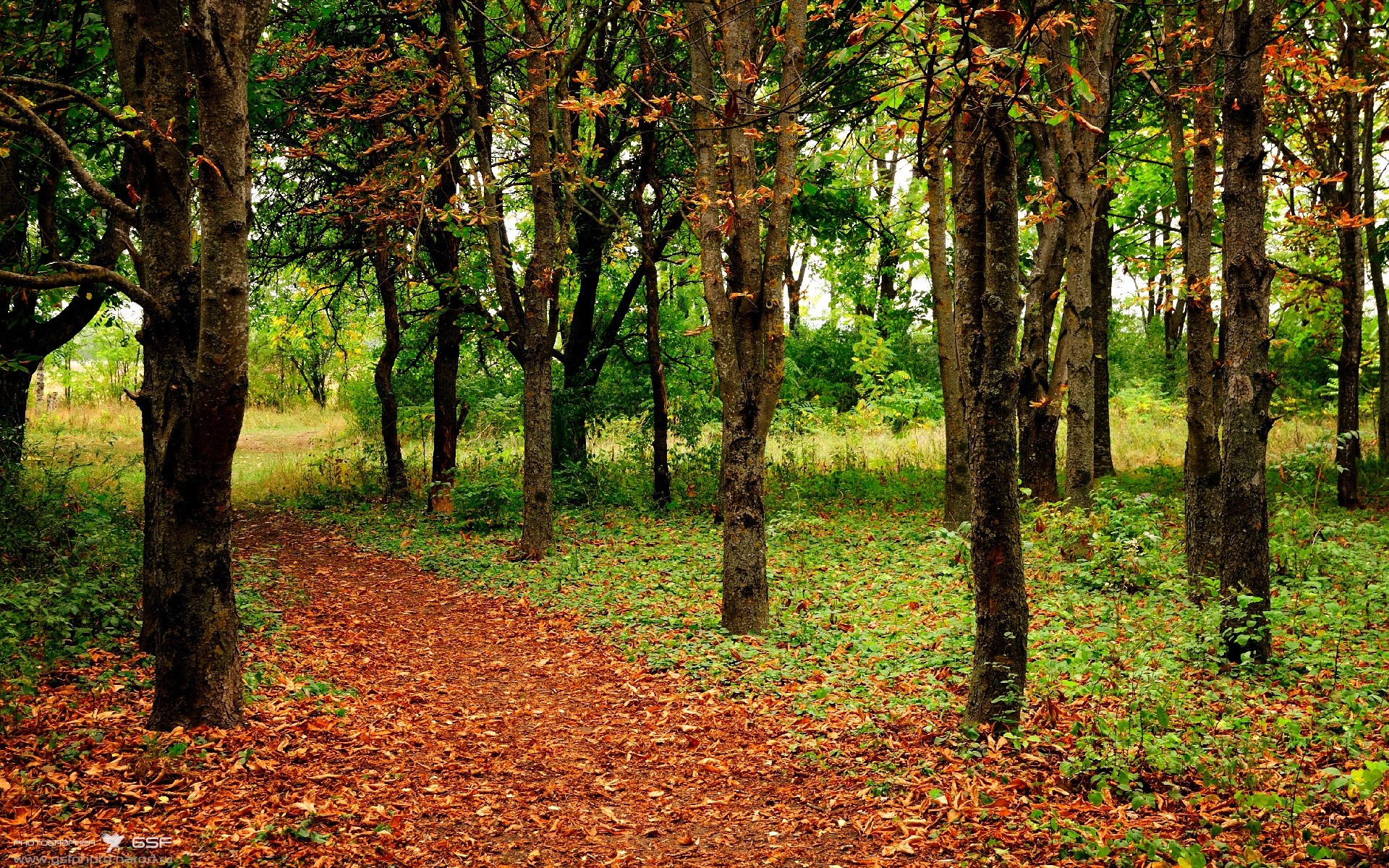 弈者厄德高,欧冠半决赛夜,他落子改写全局