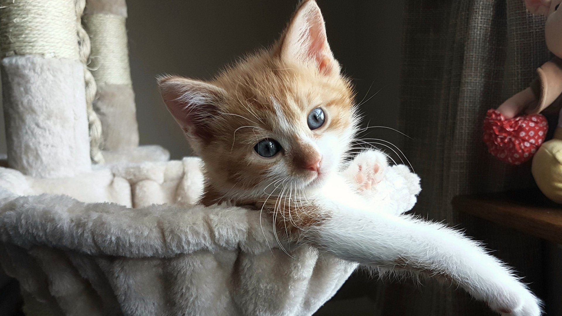 东决关键战之夜，努涅斯比赛走势一手掌控